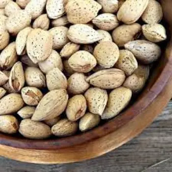 Common Kagzi  Almond