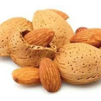 Common Kagzi Almonds
