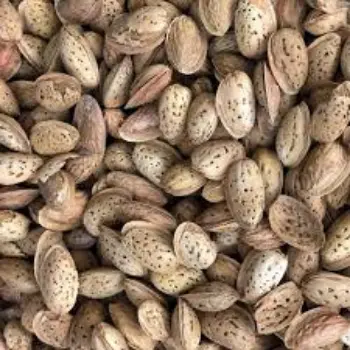 Common Kagzi Almonds