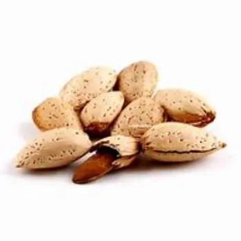 Organic Kagzi Almonds