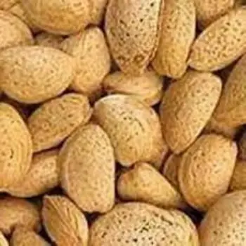 Natural Kagzi Almonds