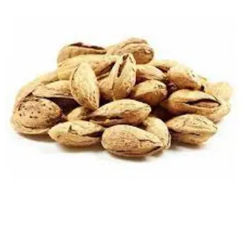 Common Kagzi Almonds