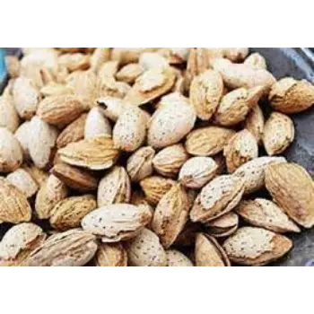 Common Kagzi Almonds