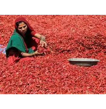 Organic Kashmiri Lal mirch