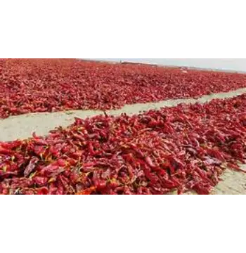 Organic Kashmiri Lal mirch