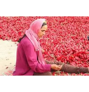 Natural Kashmiri Lal mirch