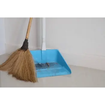 New Khajur Broom