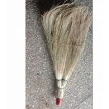 Common Khajur Broom