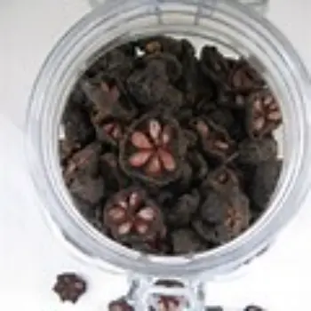 Natural Kokum