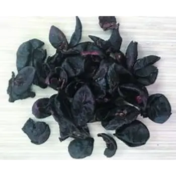 common Kokum
