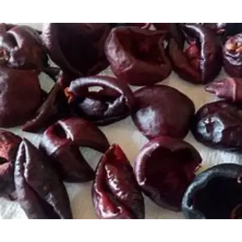 Kokum