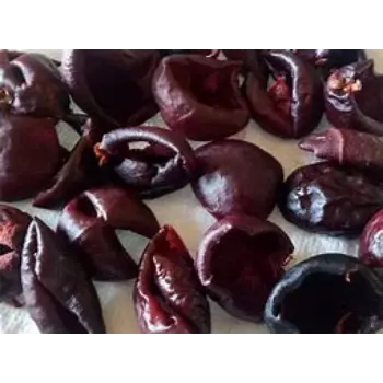 Kokum