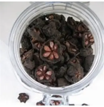 Fresh Kokum