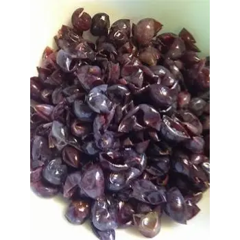 Fresh Kokum