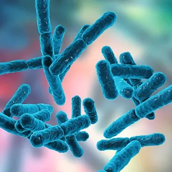 Lactobacillus Acidophilus