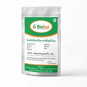 Lactobacillus Acidophilus