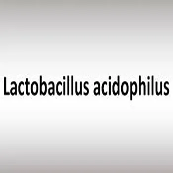Lactobacillus Acidophilus