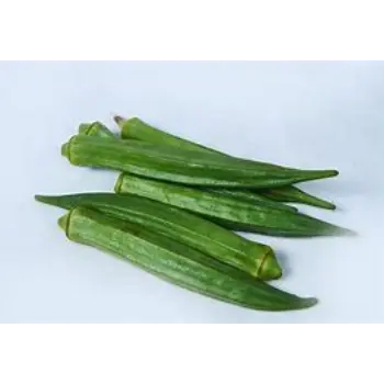 Lady Finger