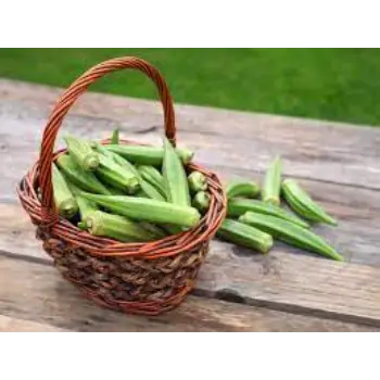 Natural Lady Finger