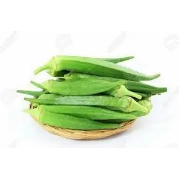 Natural Lady Finger