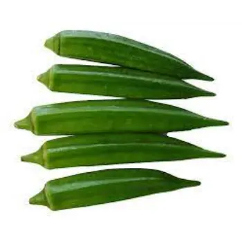 Natural Lady Finger