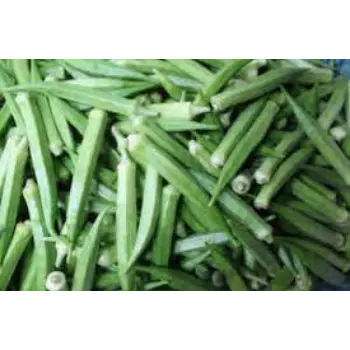 Natural Lady Finger