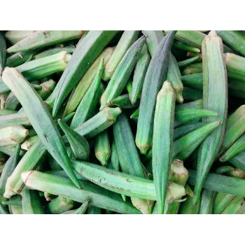 Organic Lady Finger