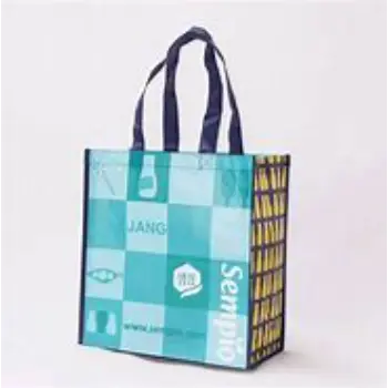 Laminated Bag