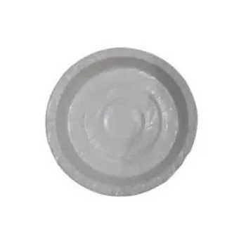  Laminated Paper Plate