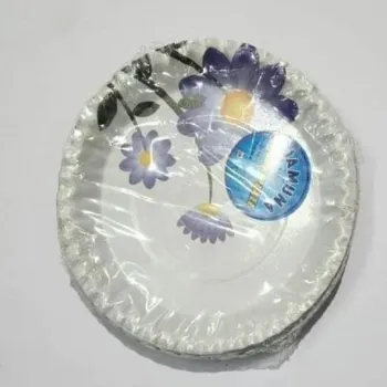 Laminated Paper Plate