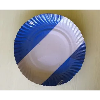  Laminated Paper Plate