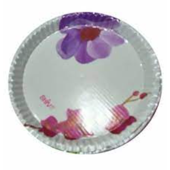 Color Coated Laminated Paper Plate