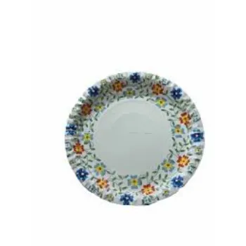 Simple Laminated Paper Plate