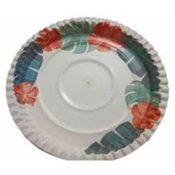 Eco Friendly Laminated Paper Plate