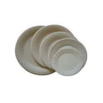 Fine Finish Laminated Paper Plate