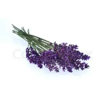 Natural Lavender Flower