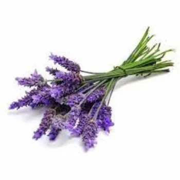 Natural Lavender Flowers