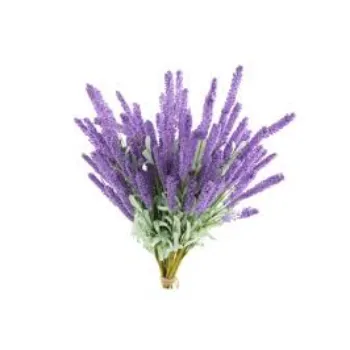 Fresh Lavender Flower