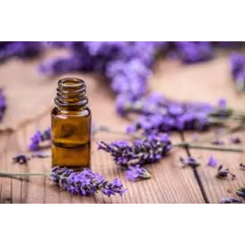 Fresh Lavender Flower Manufacturer