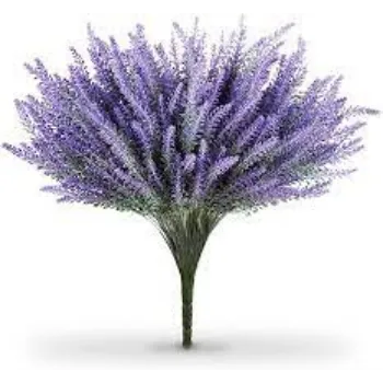 Natural Lavender Flowers