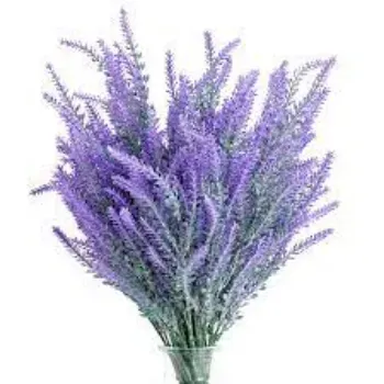 Natural Lavender Flowers Manufacturer
