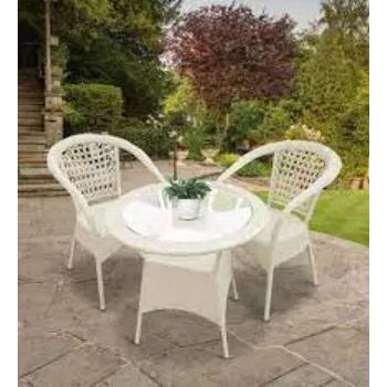 Designer  Lawn Chair