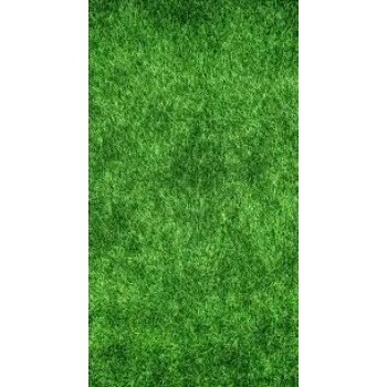 Roshni Agri forestry Lawn Grass