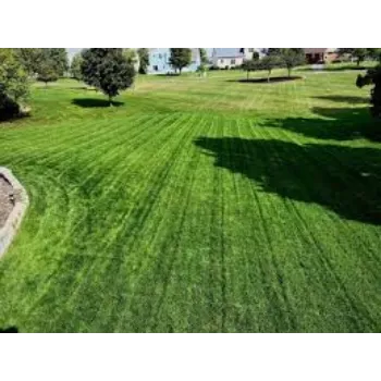 Natural Lawn Grass