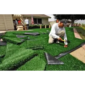 Organic  Lawn Grass