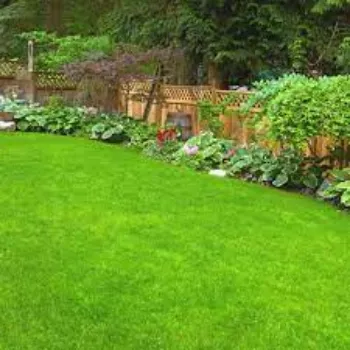 Natural Lawn Grass