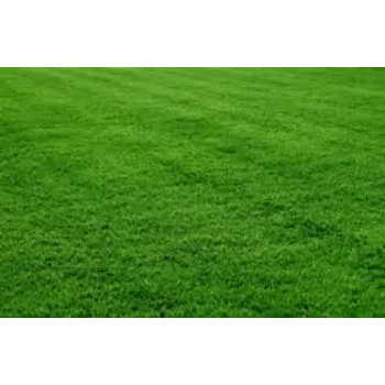 A.p. Flower Mart Lawn Grass  