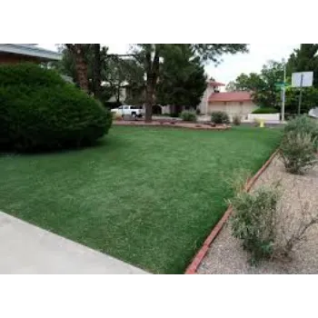 Natural Lawn Grass