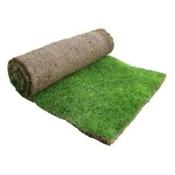 Artificial Lawn Grass