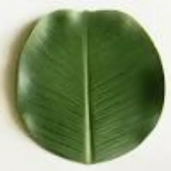  Leaf Plate
